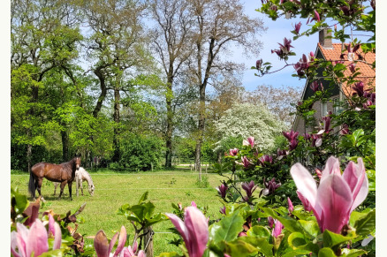 Vakantieboerderij Hoeve Heide en Wold met hottub direct aan ruiterroutes VMP010